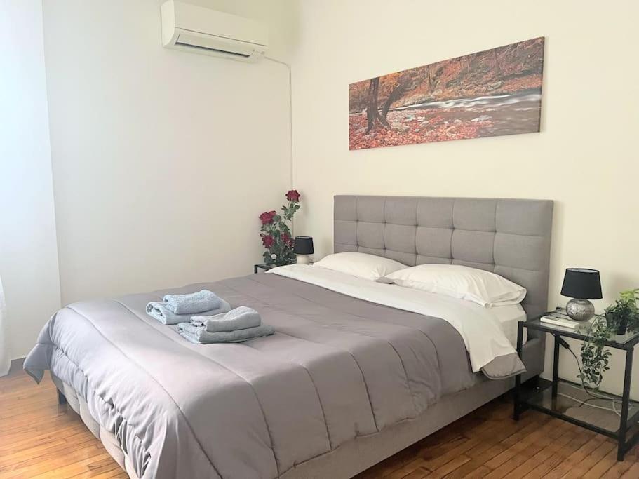 Amazing 3Bdr Apt With Unique Roof Garden In Plaka Афіни Екстер'єр фото