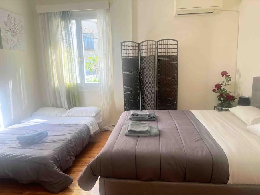 Amazing 3Bdr Apt With Unique Roof Garden In Plaka Афіни Екстер'єр фото